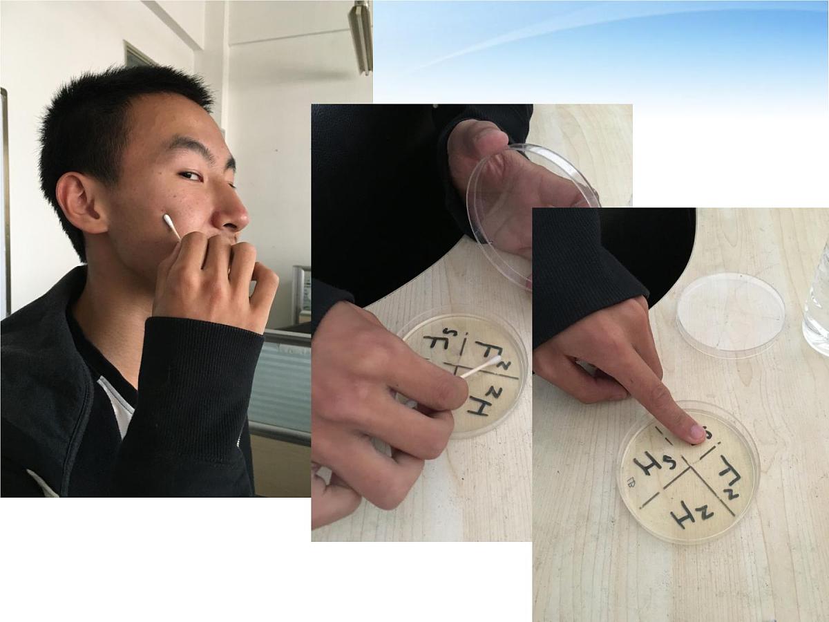 人教版 (新课标)高中生物必修3 2-4《免疫调节（第1课时）》课件第4页