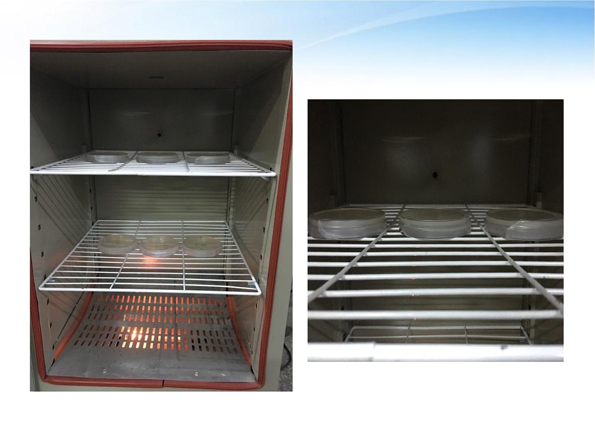 人教版 (新课标)高中生物必修3 2-4《免疫调节（第1课时）》课件第5页