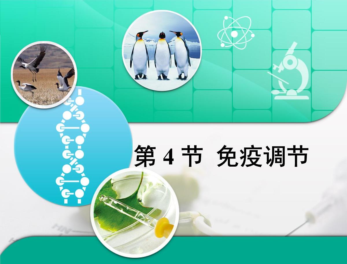 人教版 (新课标)高中生物必修3 2-4《免疫调节》复习课件第1页