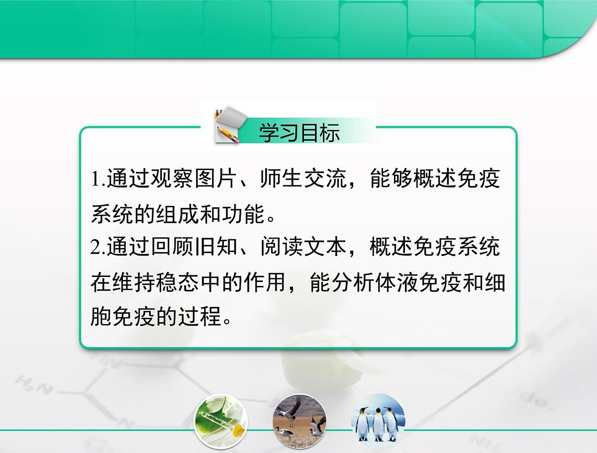 人教版 (新课标)高中生物必修3 2-4《免疫调节》复习课件第2页