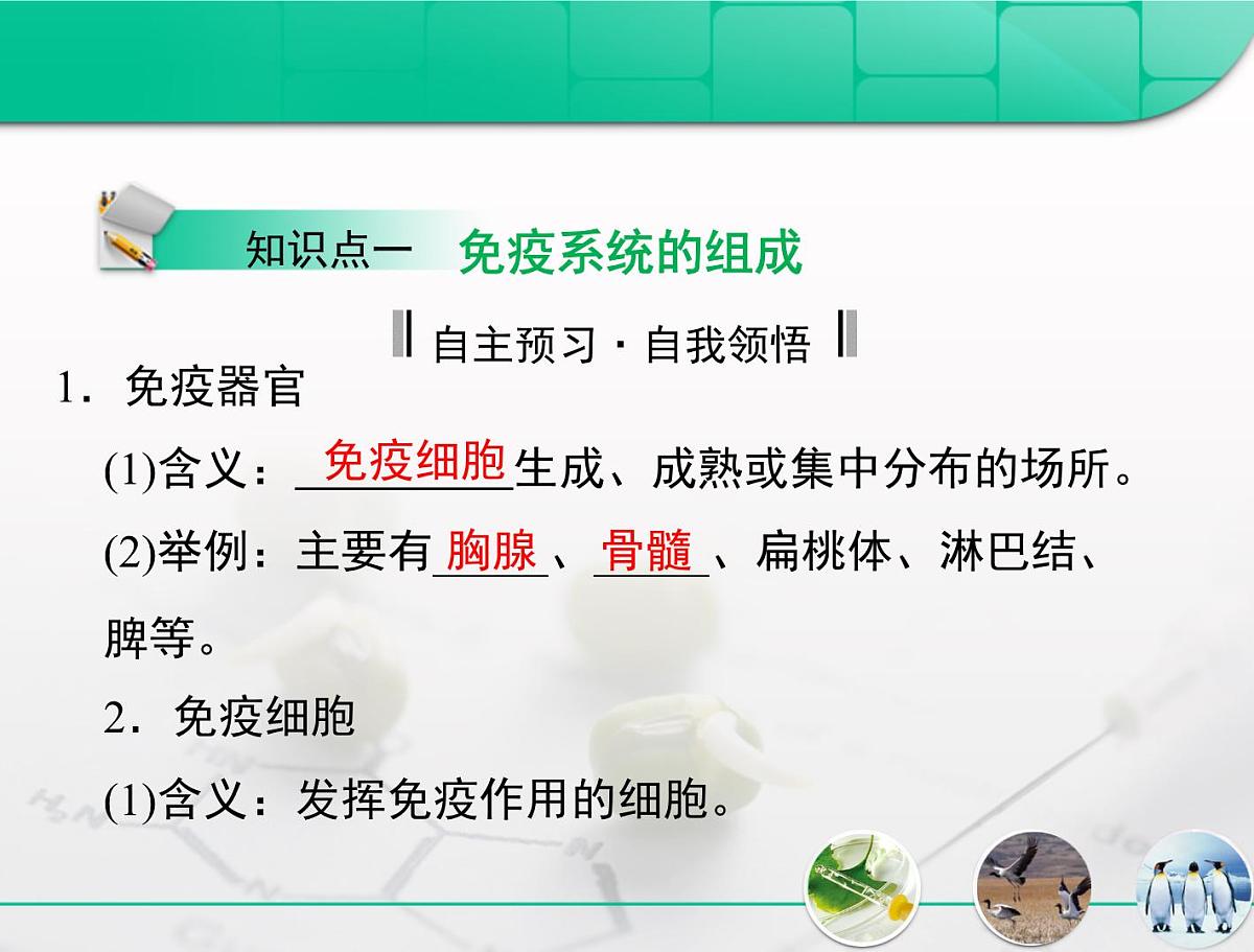 人教版 (新课标)高中生物必修3 2-4《免疫调节》复习课件第4页
