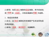 人教版 (新課標(biāo))高中生物必修3 2-4《免疫調(diào)節(jié)》復(fù)習(xí)課件