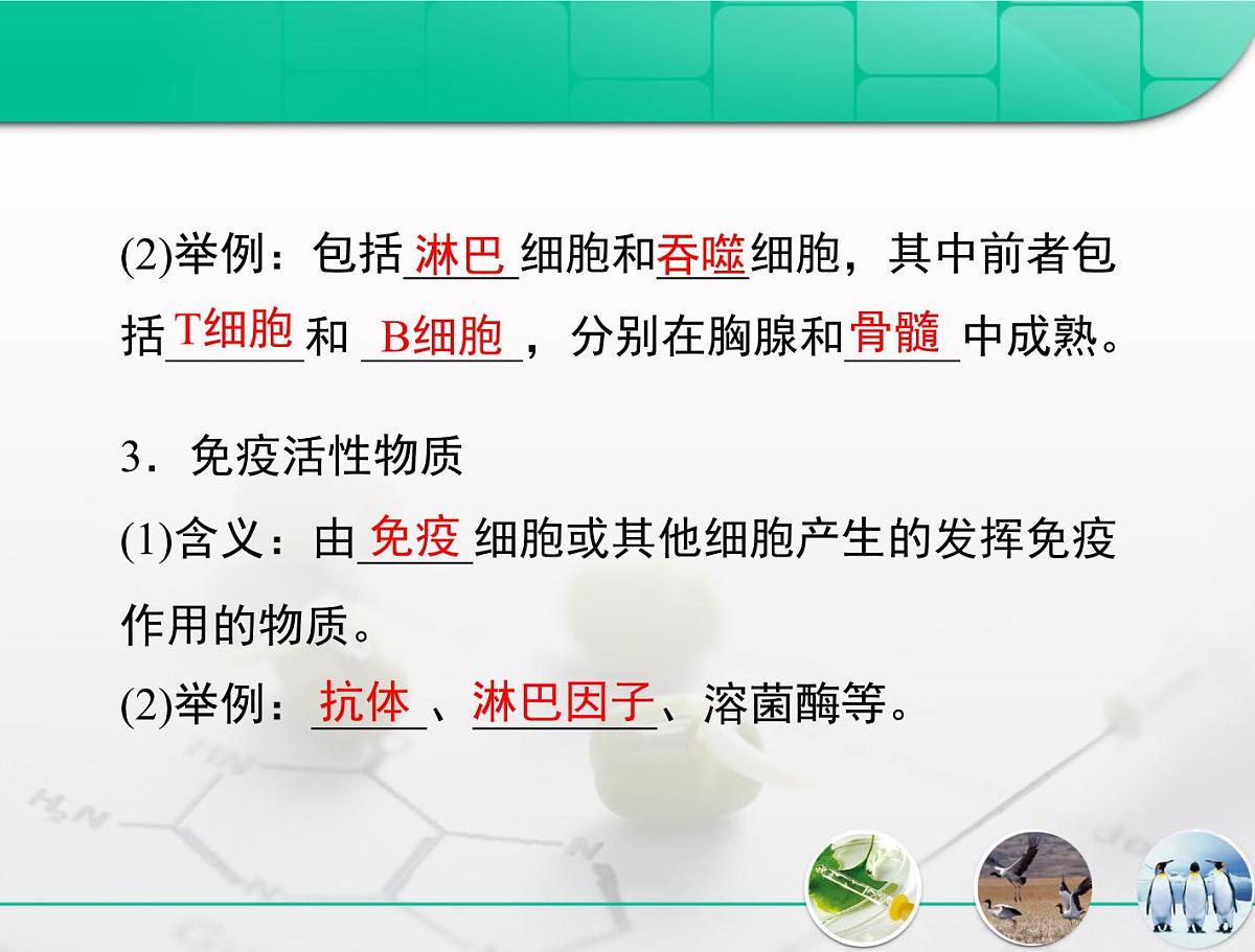 人教版 (新课标)高中生物必修3 2-4《免疫调节》复习课件第5页