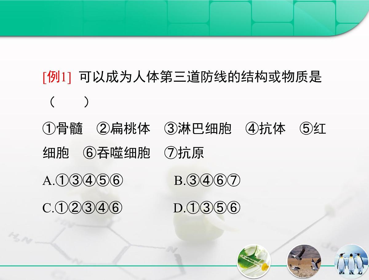 人教版 (新课标)高中生物必修3 2-4《免疫调节》复习课件第6页