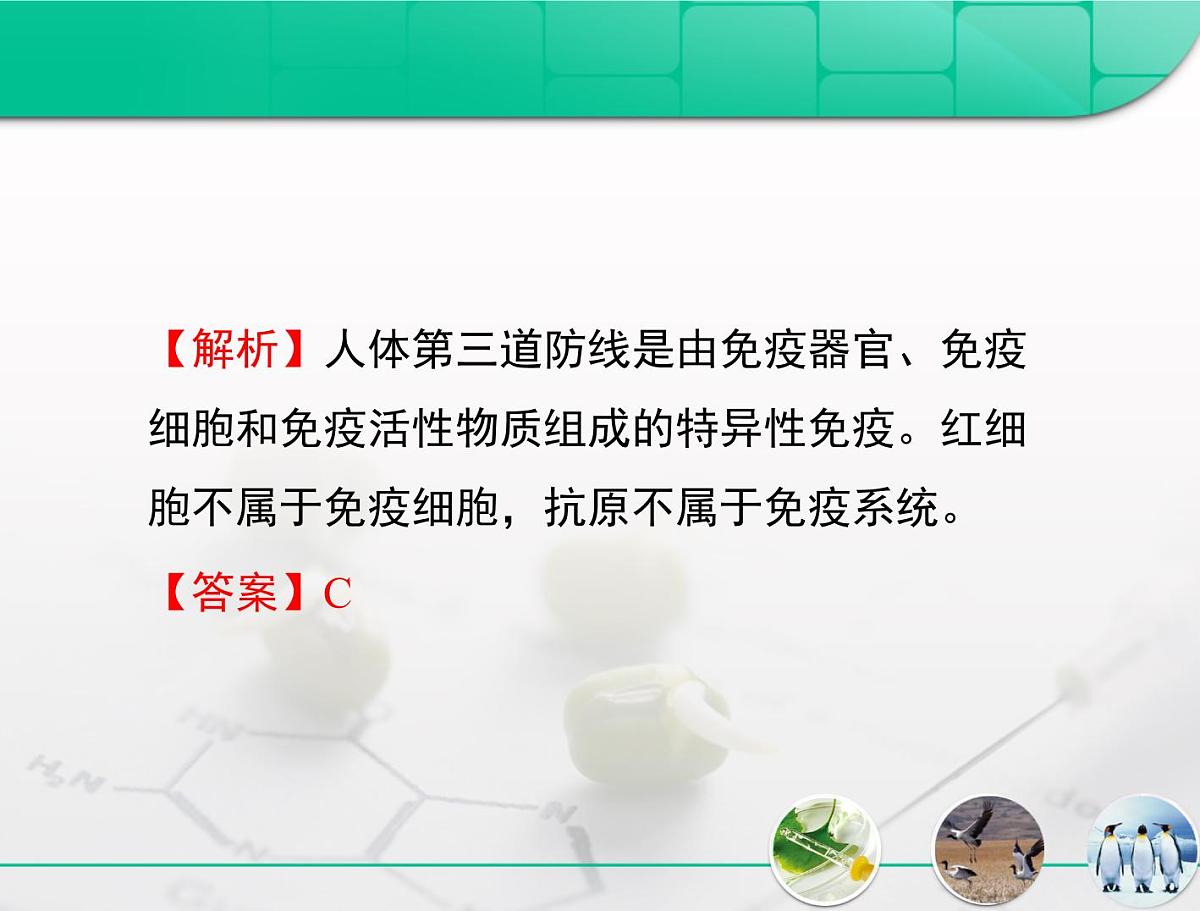 人教版 (新课标)高中生物必修3 2-4《免疫调节》复习课件第7页