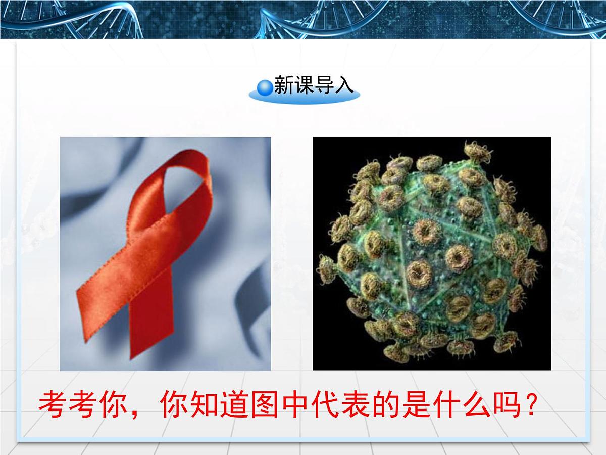 人教版 (新课标)高中生物必修3 2-4《免疫调节》第2课时课件第2页