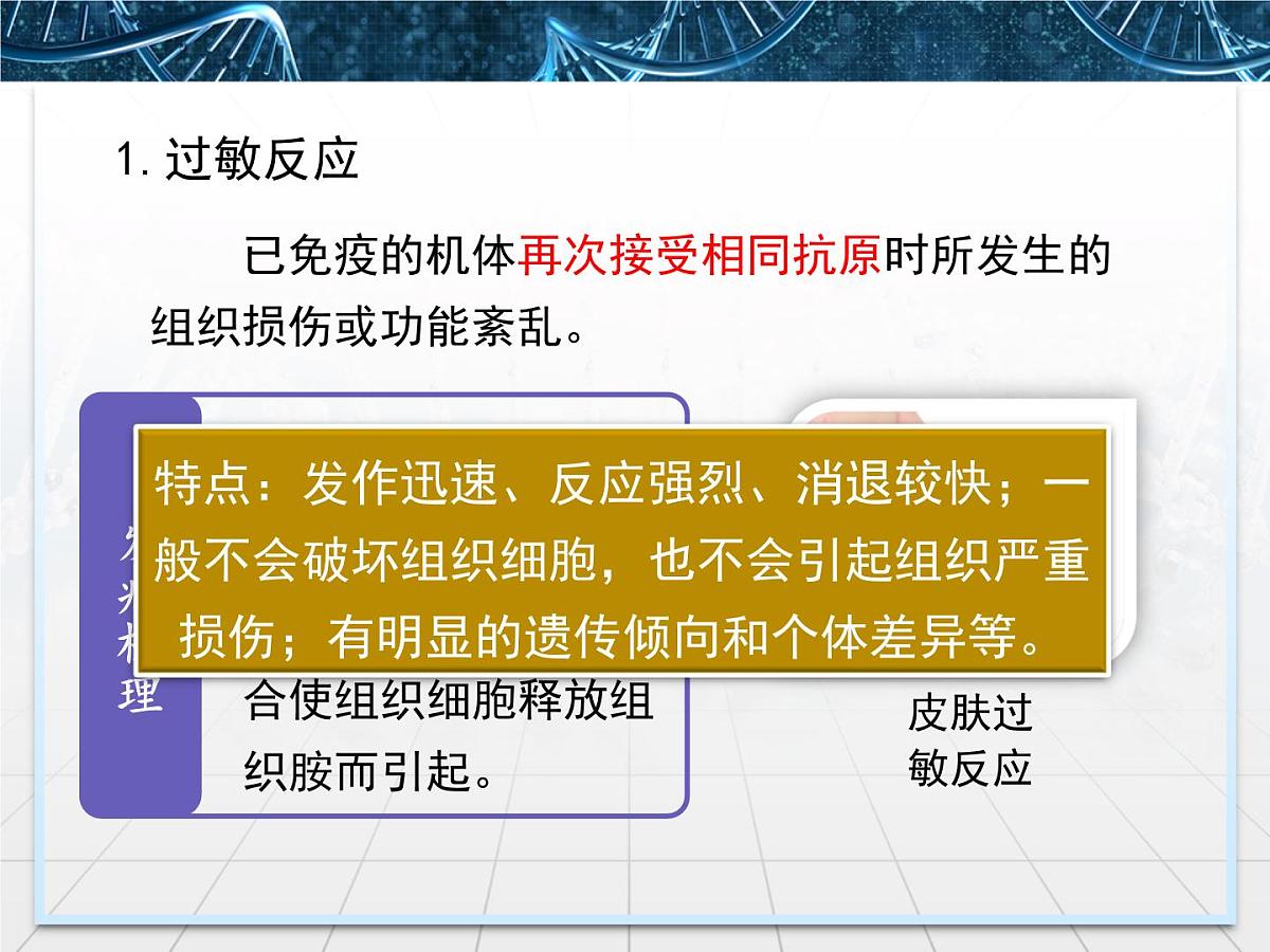 人教版 (新课标)高中生物必修3 2-4《免疫调节》第2课时课件第6页
