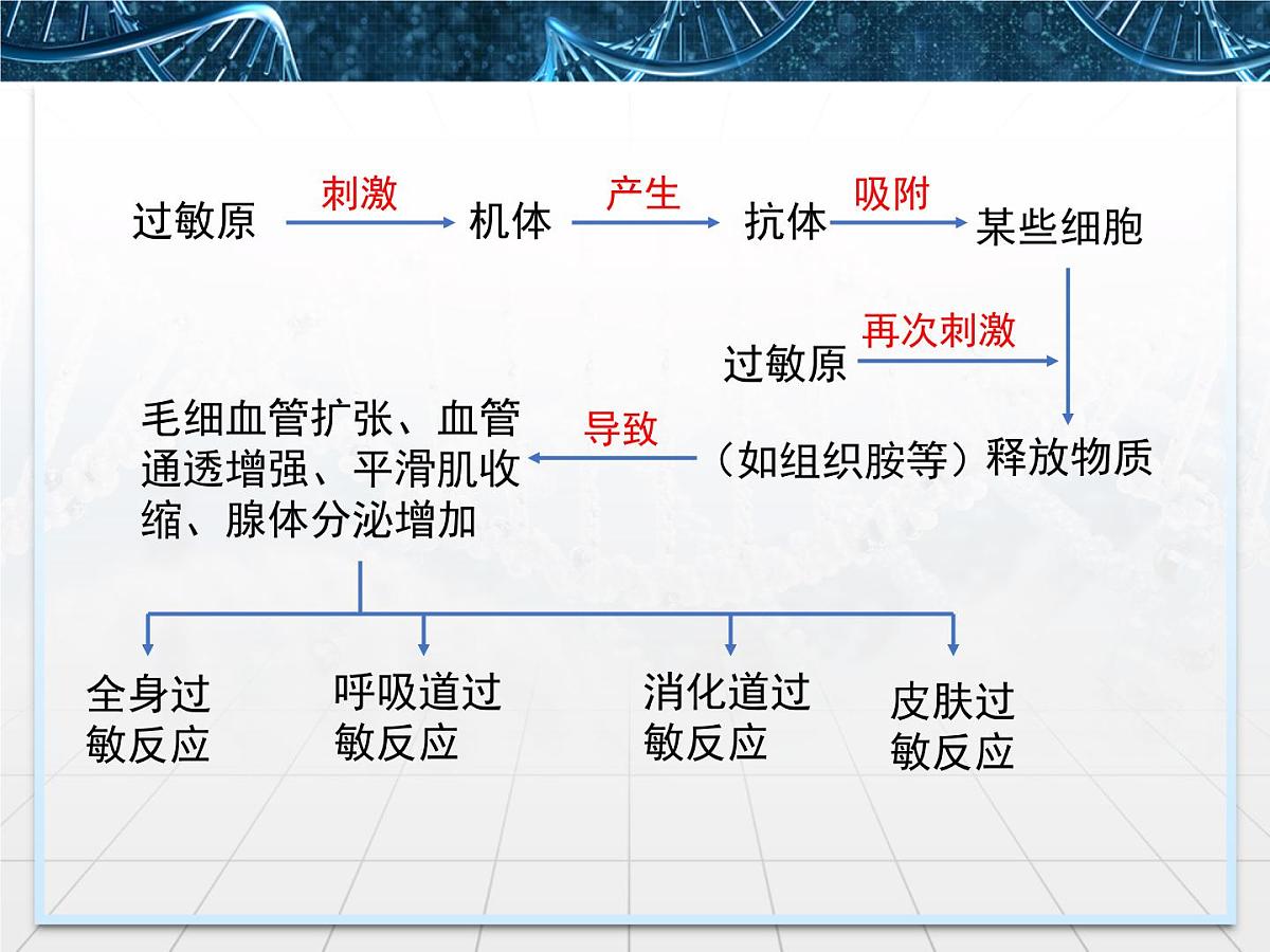 人教版 (新课标)高中生物必修3 2-4《免疫调节》第2课时课件第8页