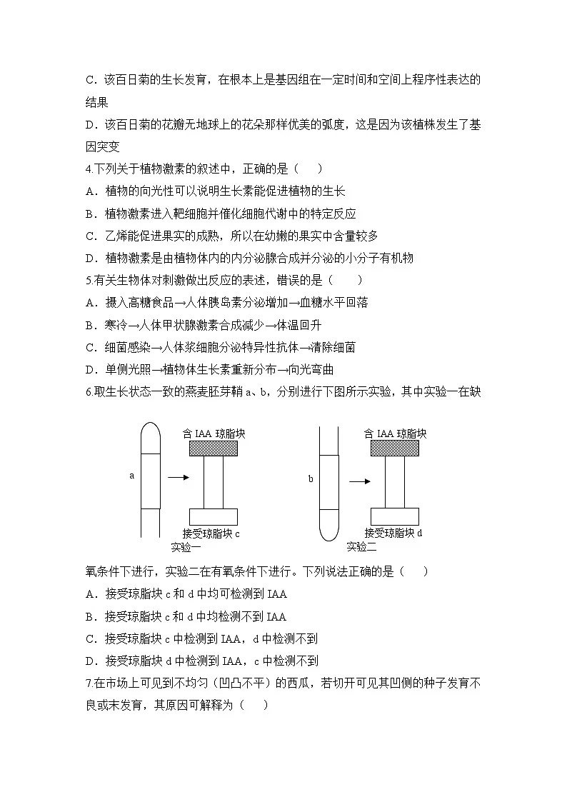 人教版 (新课标)高中生物必修3 第三章《植物的激素调节》单元综合测试（二）无答案第2页