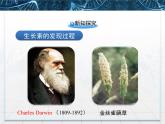 人教版 (新課標)高中生物必修3 3-1《植物生長素的發(fā)現(xiàn)》課件