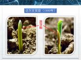 人教版 (新課標)高中生物必修3 3-1《植物生長素的發(fā)現(xiàn)》課件