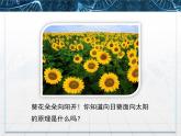人教版 (新課標)高中生物必修3 3-1《植物生長素的發(fā)現(xiàn)》課件