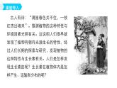 人教版 (新課標)高中生物必修3 3-1《植物生長素的發(fā)現(xiàn)》課件