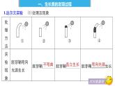 人教版 (新課標)高中生物必修3 3-1《植物生長素的發(fā)現(xiàn)》課件