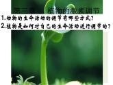 人教版 (新課標)高中生物必修3 3-1《植物生長素的發(fā)現(xiàn)》課件