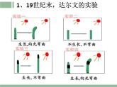 人教版 (新課標)高中生物必修3 3-1《植物生長素的發(fā)現(xiàn)》課件