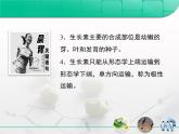人教版 (新課標)高中生物必修3 3-1《植物生長素的發(fā)現(xiàn)》復習課件