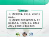 人教版 (新課標)高中生物必修3 3-1《植物生長素的發(fā)現(xiàn)》復習課件