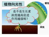 人教版 (新課標(biāo))高中生物必修3 3-2《生長(zhǎng)素的生理作用》課件