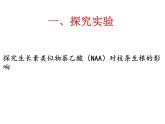 人教版 (新課標(biāo))高中生物必修3 3-2《生長(zhǎng)素的生理作用》課件