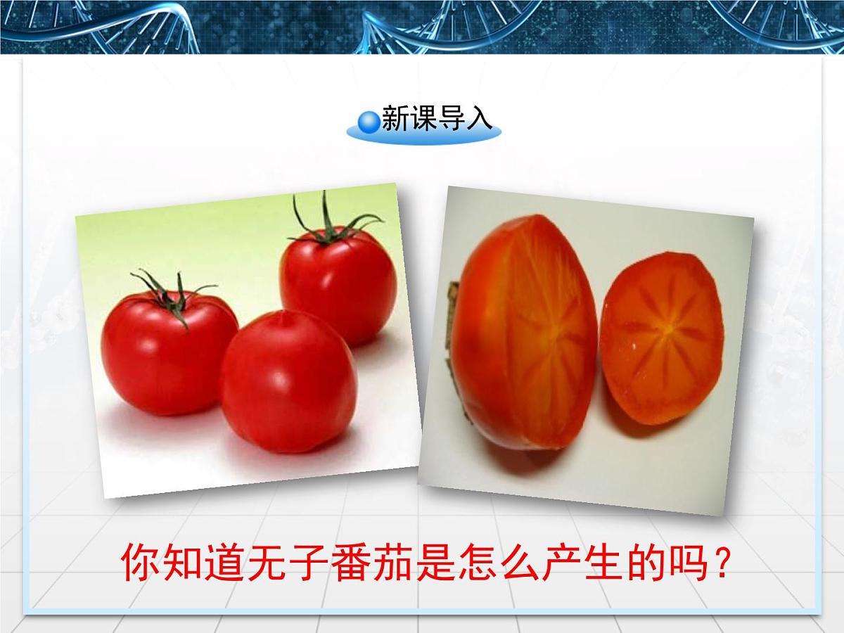 人教版 (新课标)高中生物必修3 3-2《生长素的生理作用》课件第2页