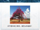 人教版 (新課標(biāo))高中生物必修3 3-2《生長(zhǎng)素的生理作用》課件