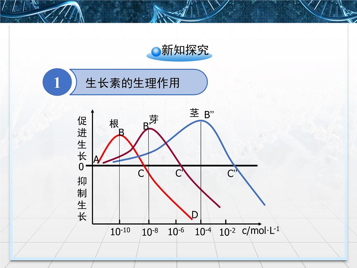 人教版 (新课标)高中生物必修3 3-2《生长素的生理作用》课件第7页