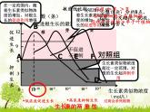人教版 (新課標(biāo))高中生物必修3 3-2《生長(zhǎng)素的生理作用》課件