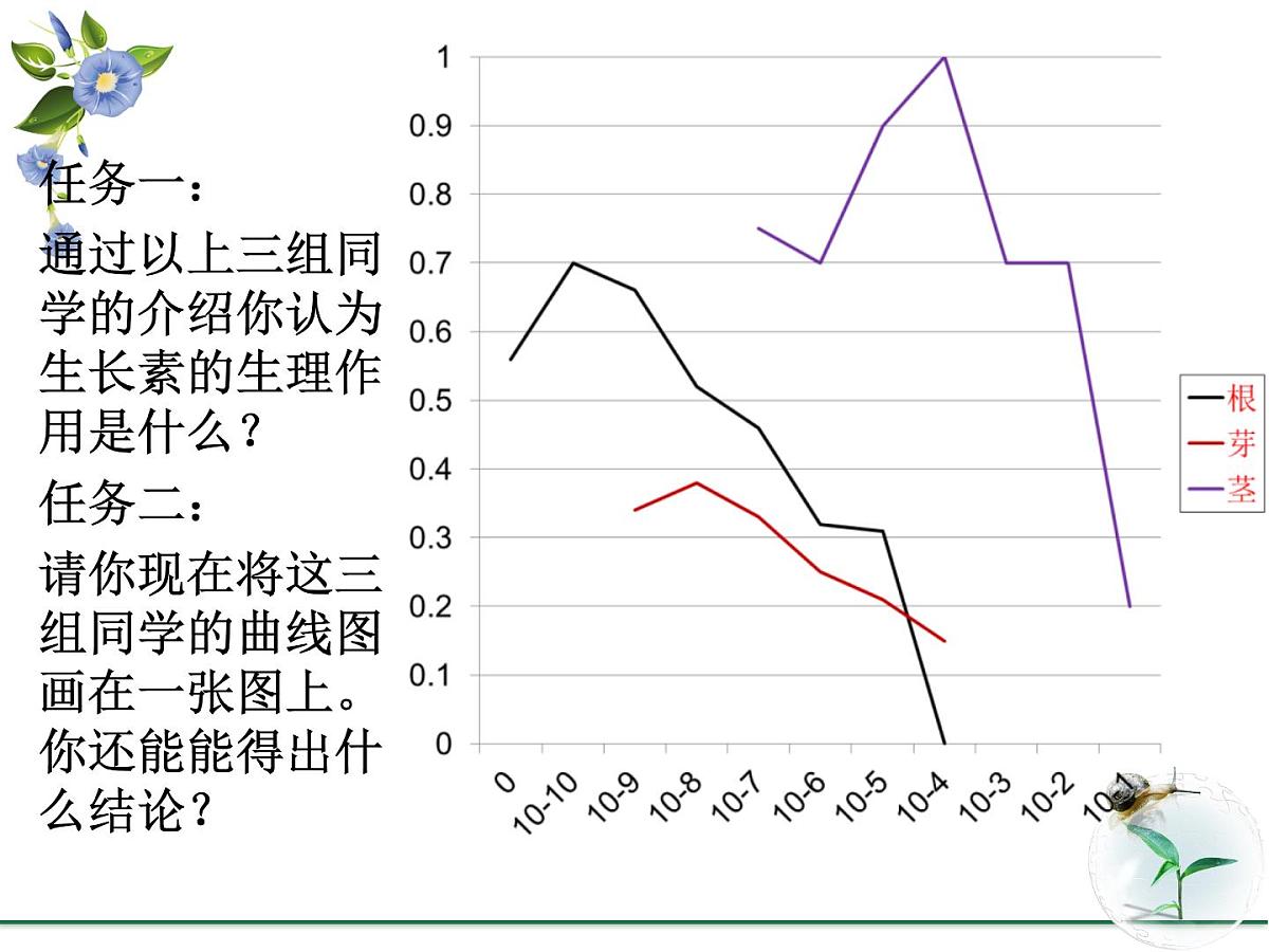 人教版 (新课标)高中生物必修3 3-2《生长素的生理作用》课件第3页