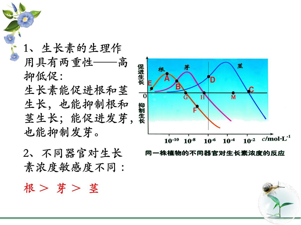 人教版 (新课标)高中生物必修3 3-2《生长素的生理作用》课件第4页