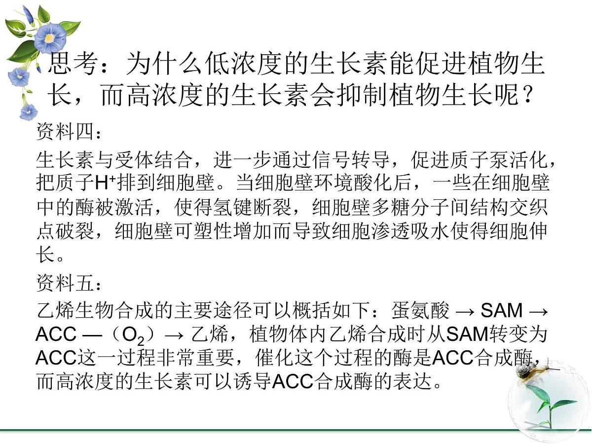 人教版 (新课标)高中生物必修3 3-2《生长素的生理作用》课件第6页
