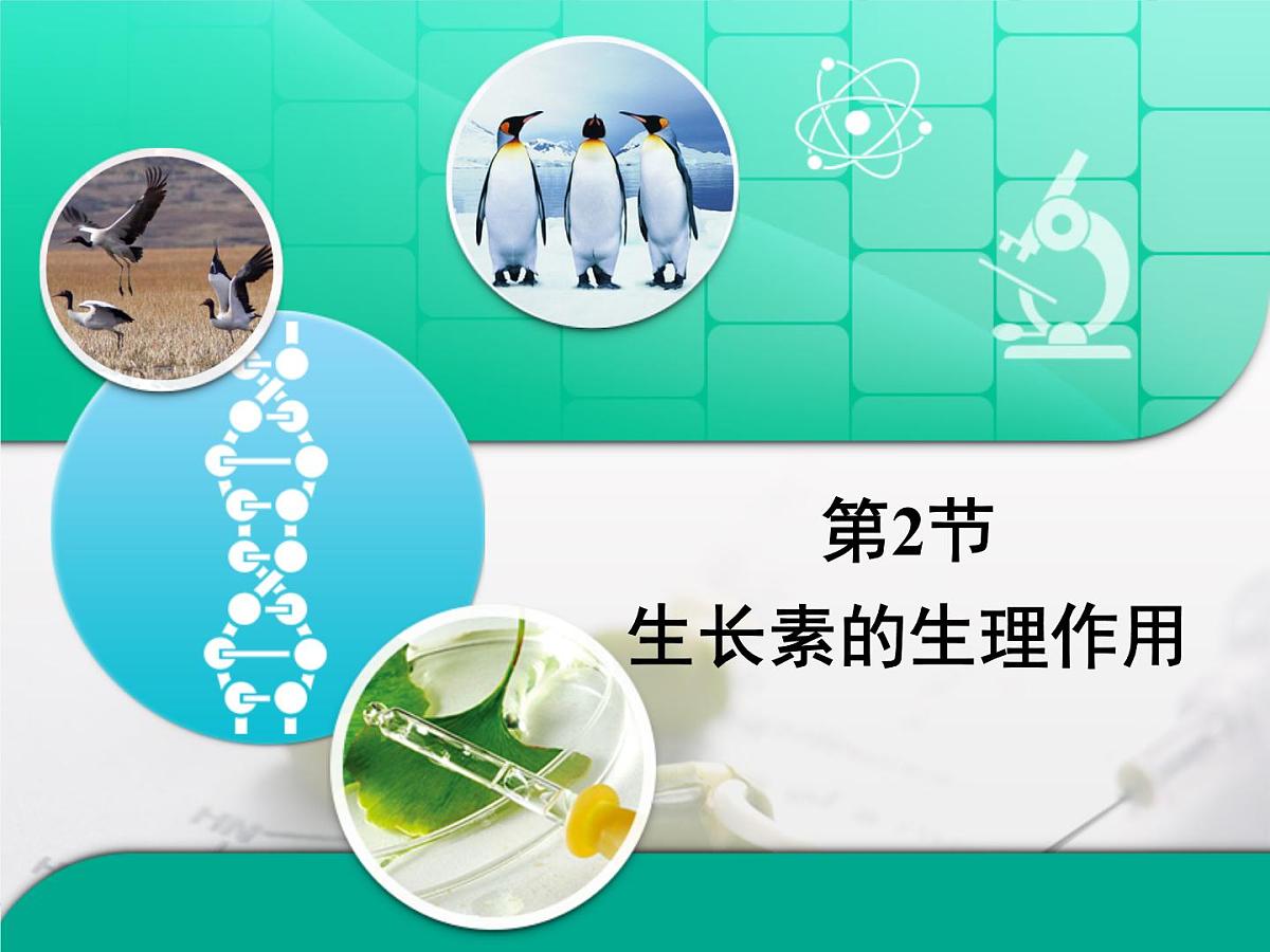 人教版 (新课标)高中生物必修3 3-3《生长素的生理作用》复习课件第1页