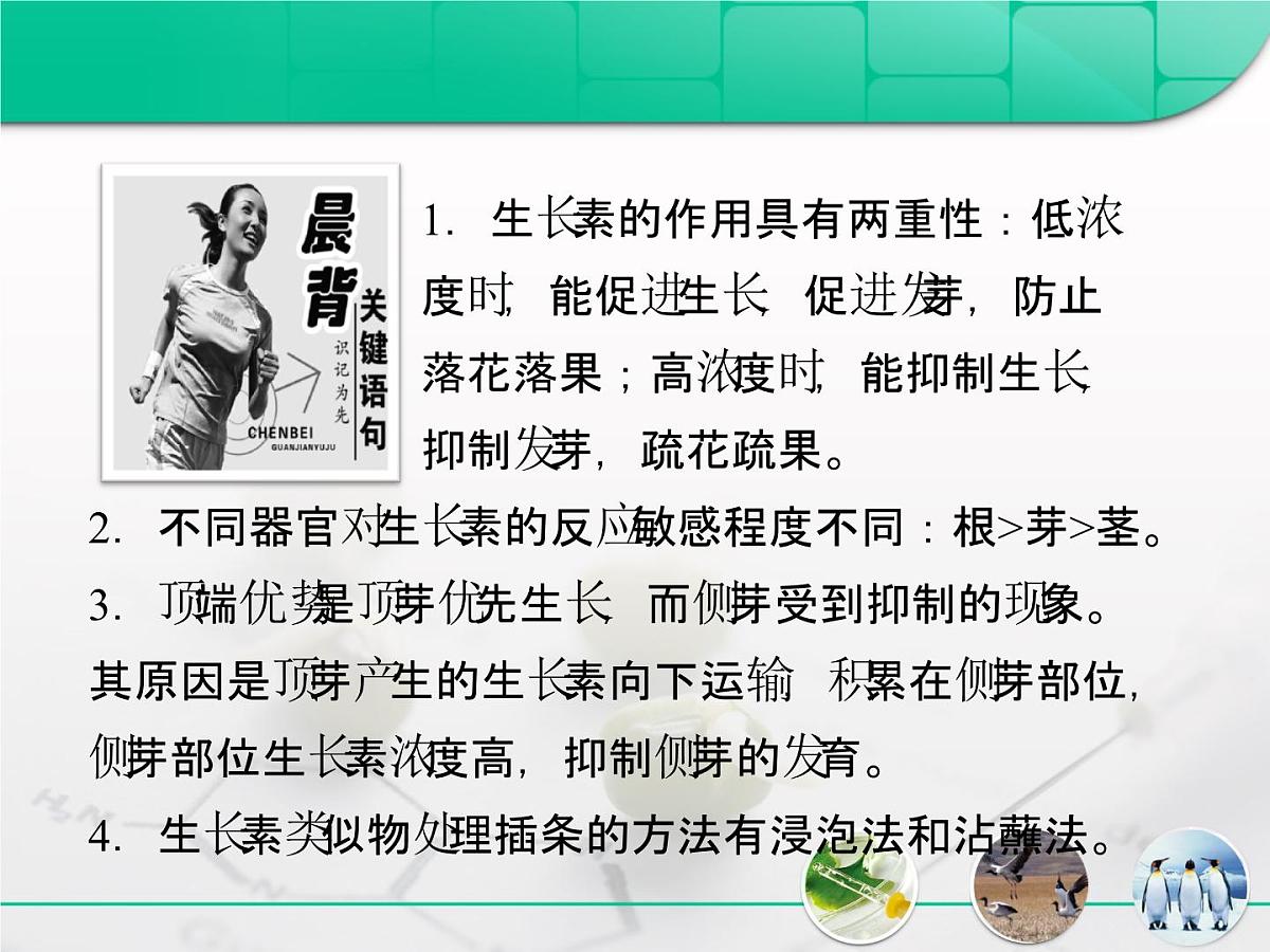 人教版 (新课标)高中生物必修3 3-3《生长素的生理作用》复习课件第2页