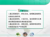 人教版 (新課標(biāo))高中生物必修3 3-3《生長素的生理作用》復(fù)習(xí)課件