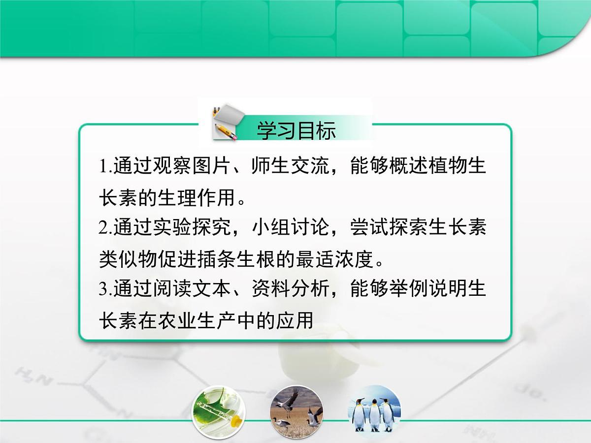 人教版 (新课标)高中生物必修3 3-3《生长素的生理作用》复习课件第3页