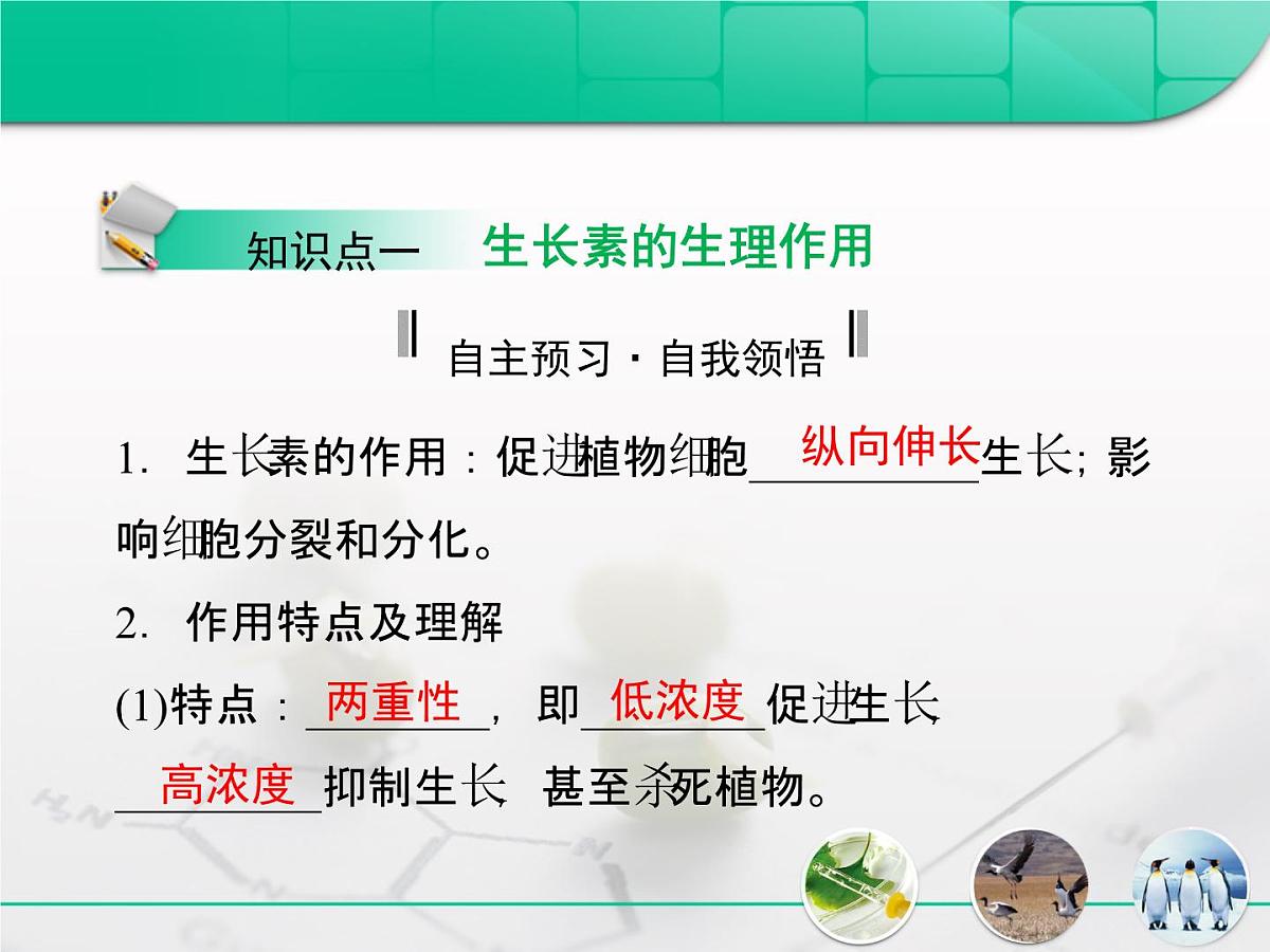 人教版 (新课标)高中生物必修3 3-3《生长素的生理作用》复习课件第4页