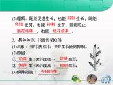 人教版 (新課標(biāo))高中生物必修3 3-3《生長素的生理作用》復(fù)習(xí)課件
