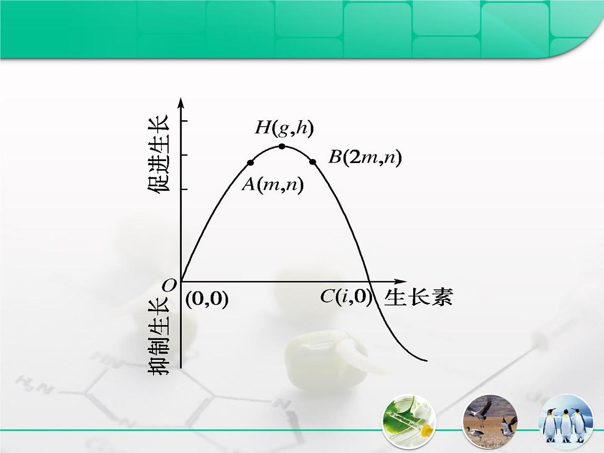 人教版 (新课标)高中生物必修3 3-3《生长素的生理作用》复习课件第8页