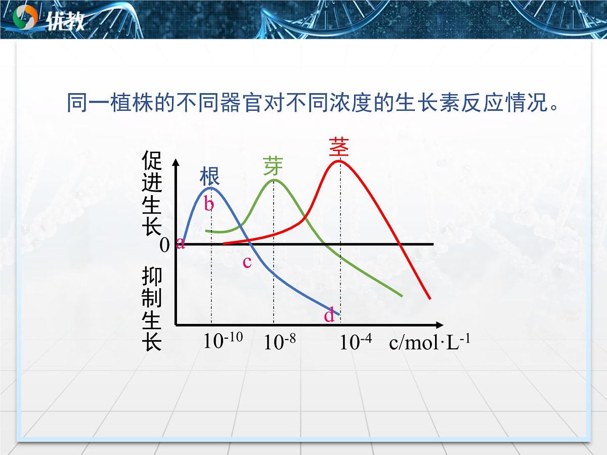 人教版 (新课标)高中生物必修3 3-2《生长素的生理作用》课件第3页