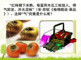 人教版 (新課標(biāo))高中生物必修3 3-3《其他植物激素》課件