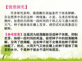 人教版 (新課標(biāo))高中生物必修3 3-3《其他植物激素》課件