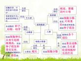 人教版 (新課標(biāo))高中生物必修3 3-3《其他植物激素》課件