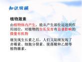 人教版 (新課標(biāo))高中生物必修3 3-3《其他植物激素》課件