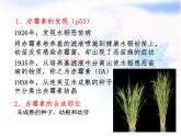 人教版 (新課標(biāo))高中生物必修3 3-3《其他植物激素》課件