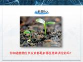 人教版 (新課標(biāo))高中生物必修3 3-3《其他植物激素》課件