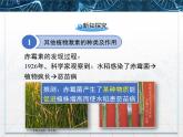 人教版 (新課標(biāo))高中生物必修3 3-3《其他植物激素》課件