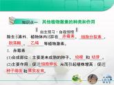 人教版 (新課標(biāo))高中生物必修3 3-3《其他植物激素》復(fù)習(xí)課件