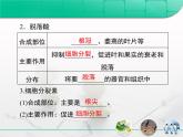 人教版 (新課標(biāo))高中生物必修3 3-3《其他植物激素》復(fù)習(xí)課件