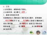 人教版 (新課標(biāo))高中生物必修3 3-3《其他植物激素》復(fù)習(xí)課件