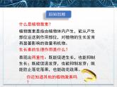 人教版 (新課標(biāo))高中生物必修3 3-3《其他植物激素》課件